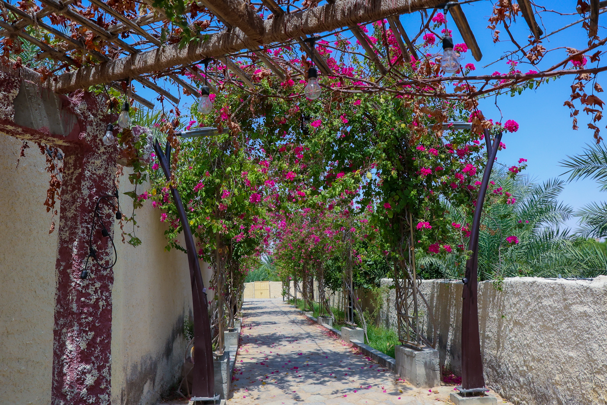 Al Hillah Fort